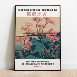 Hokusai Vintage Pink