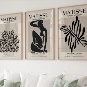 Matisse - Papiers decoupes 1